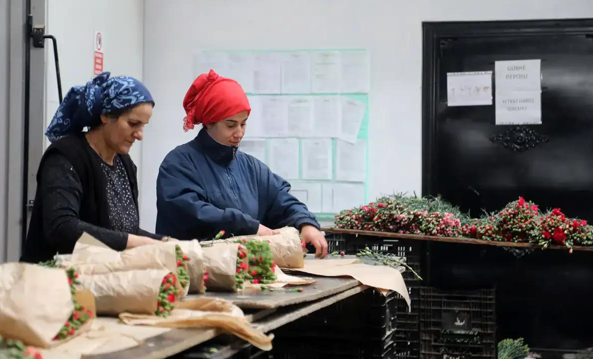 Antalya'dan Dünyaya Aşk Sevkiyatı 6